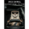 Blitzer Falle Otter Auto Fahrer