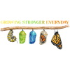 Inspiring butterfly fan graphic