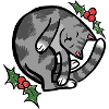 Cozy Sleepy Cat with Holly
