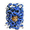 Hairy Medusa