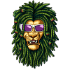 Rasta Lion Dreadlocks Sunglasses Reggae Art