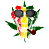 Rasta Lion Smoke Graphic