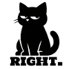 Sarcastic black cat