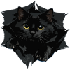 Chat noir par Tranchant