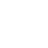 Bier
