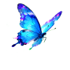 Papillon aquarelle bleu
