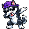 Dabbing Husky