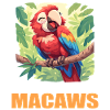Macaw's Era