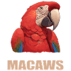 Macaw's Era