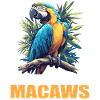 Macaw's Era