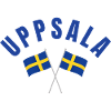 Uppsala Swedish Flags