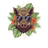 Sunglasses Warthog Tropical Style