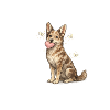 Friendly dog with butterfly shine