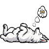 White Shepherd Shepherd Shepherd Dogs
