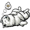 White Shepherd Shepherd Shepherd Dogs
