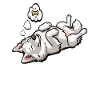 Feeling Dog Tired White Shepherd Dog