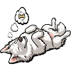 White Shepherd Shepherd Shepherd Dogs