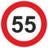 55 Fifty-five Birthday
