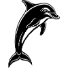 Jumping Dolphin