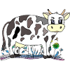Cow