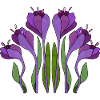 Fleur