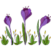 Blumen