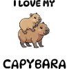 Capybara T-Shirt cute – Kids Huckepack Design