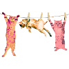 Cat T-Shirt Fun Clothesline Animal Print