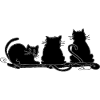 Cats
