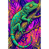 Gecko