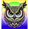 hibou