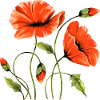 Fleur
