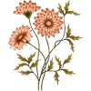 Blumen
