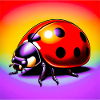 ladybird