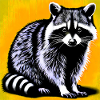 Raccoon