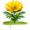 Yellow Flower Nature Brush Stroke Design