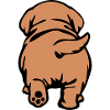 Dog Back