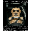 Hund Radar Kontrolle Blitzer