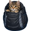 Katze im Sack