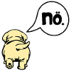 Hunde Absage