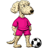 Soccer Poodle