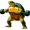 Turtle Trainer