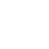 Fleischer