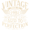 Regalo retrò vintage per il compleanno vintage 1981