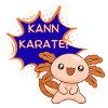 Can karate! Axolotl – Funny Kawaii T-Shirt