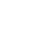 1981