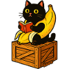 Read book Cat on Banana Costume