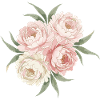 Peonies Bouquet in Pink