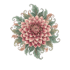 Dahlias Mandala Rosé Green