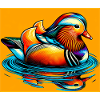 Mandarin duck
